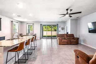 16619 Goose Ribbon Pl, Wimauma, FL 33598 - Photo 5
