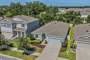 16619 Goose Ribbon Pl, Wimauma, FL 33598 - Photo 33