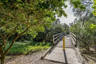 1381 Curlew Rd, Dunedin, FL 34698 - Photo 35