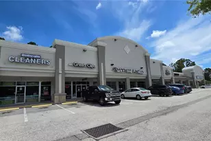 3297 Valemoor Dr, Palm Harbor, FL 34685 - Photo 39