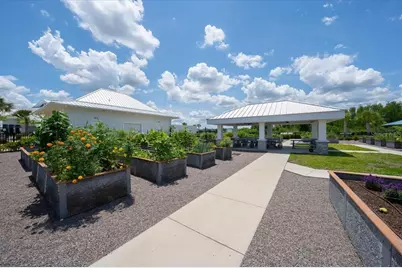 19133 Ship Wheel Way, Land O Lakes, FL 34638 - Photo 49