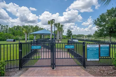 19133 Ship Wheel Way, Land O Lakes, FL 34638 - Photo 47