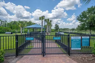 19133 Ship Wheel Wy, Land O Lakes, FL 34638 - Photo 47