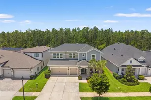3497 Tour Trce, Land O Lakes, FL 34638 - Photo 73