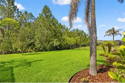 3497 Tour Trace, Land O Lakes, FL 34638 - Photo 71