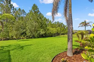 3497 Tour Trce, Land O Lakes, FL 34638 - Photo 71