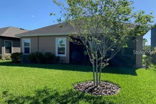 6234 Colmar Pl, Apollo Beach, FL 33572 - Photo 19