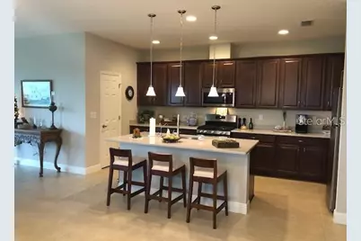6234 Colmar Place, Apollo Beach, FL 33572 - Photo 5