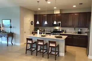 6234 Colmar Pl, Apollo Beach, FL 33572 - Photo 5