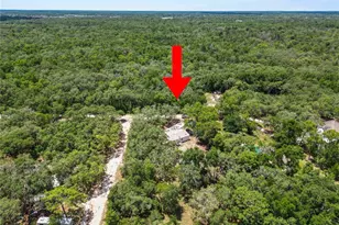 13043 Gennaro Rd, Hudson, FL 34669 - Photo 49