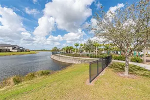 10036 Sage Creek Dr, Sun City Center, FL 33573 - Photo 47