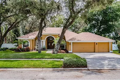 10131 Paddock Oaks Drive, Riverview, FL 33569 - Photo 1