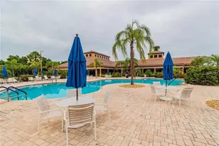 140 Shell Falls Dr, Apollo Beach, FL 33572 - Photo 45