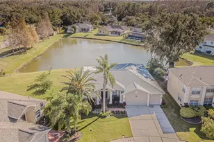 27226 Sea Breeze Way, Wesley Chapel, FL 33544 - Photo 23