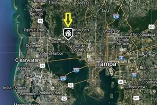 11426 Zenith Cir, Tampa, FL 33635 - Photo 57