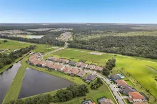 14235 Swiss Bridge Dr, Riverview, FL 33579 - Photo 57