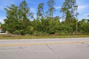 6011 Freeport Dr, Spring Hill, FL 34606 - Photo 9