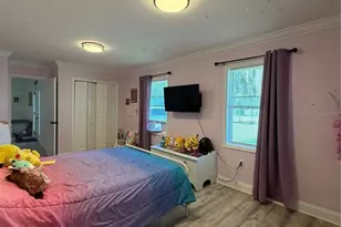 3546 Futch Rd, Plant City, FL 33566 - Photo 17