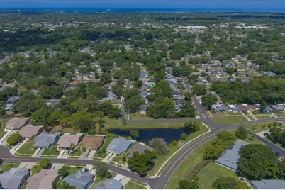 3171 Oak View Drive, Palm Harbor, FL 34684 - Photo 49