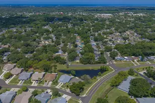 3171 Oak View Dr, Palm Harbor, FL 34684 - Photo 49