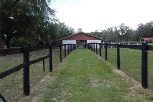 30841 Deer Run, Dade City, FL 33523 - Photo 5