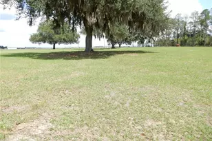 30841 Deer Run, Dade City, FL 33523 - Photo 7