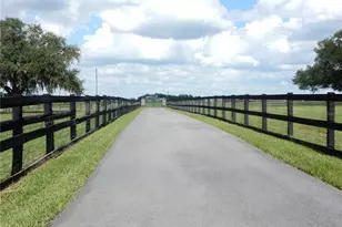 30841 Deer Run, Dade City, FL 33523 - Photo 3