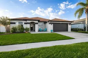 29641 Eagle Station Dr, Wesley Chapel, FL 33543 - Photo 1
