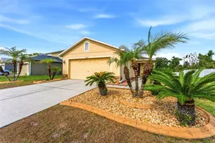 9847 Edmonton Dr, Land O Lakes, FL 34638 - Photo 39