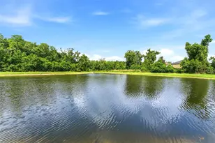 9847 Edmonton Dr, Land O Lakes, FL 34638 - Photo 33
