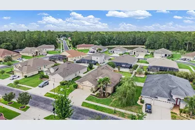 27205 Hawks Nest Circle, Wesley Chapel, FL 33544 - Photo 43