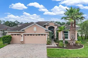 27205 Hawks Nest Cir, Wesley Chapel, FL 33544 - Photo 39