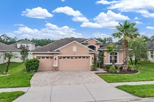 27205 Hawks Nest Cir, Wesley Chapel, FL 33544 - Photo 3