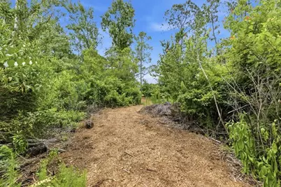 6213 Bridleford Drive, Wesley Chapel, FL 33545 - Photo 65