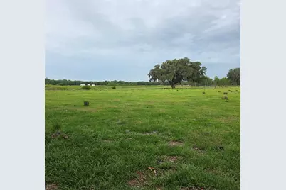 Vernon Dairy, Spring Hill, FL 34610 - Photo 3