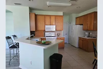 1161 Jameson Greens Drive, Sun City Center, FL 33573 - Photo 9