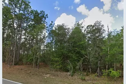 796 N Kensington Avenue, Lecanto, FL 34461 - Photo 1