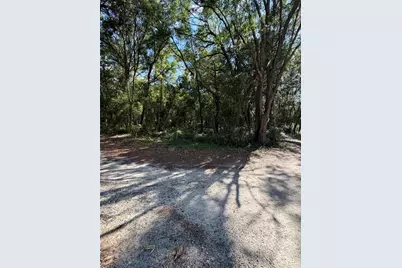 0 SW 146th Place #328, Dunnellon, FL 34432 - Photo 3