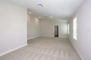 31681 Bienville Ln, Wesley Chapel, FL 33545 - Photo 21