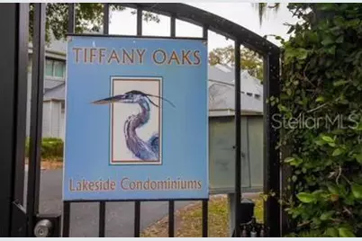 9726 Tiffany Oaks Lane #9726, Tampa, FL 33612 - Photo 1