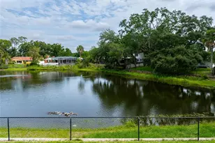 3605 Schefflera Rd, Tampa, FL 33618 - Photo 47