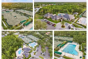 10232 Estuary Dr, Tampa, FL 33647 - Photo 3