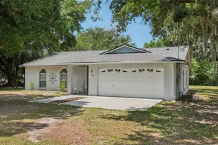 126 S St Cloud Ave, Valrico, FL 33594 - Photo 1