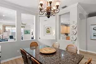 8557 Acorn Ridge Ct, Tampa, FL 33625 - Photo 11