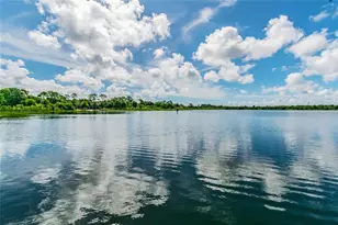 2803 Northcote Dr, Palm Harbor, FL 34684 - Photo 29