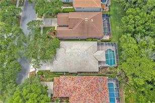 17738 Nathans Dr, Tampa, FL 33647 - Photo 27
