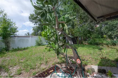 3803 River Grove Drive, Tampa, FL 33610 - Photo 23