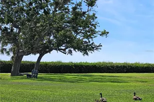 1800 Mariner Dr, Tarpon Springs, FL 34689 - Photo 49