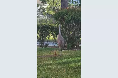 13109 Elgar Place, Riverview, FL 33579 - Photo 15