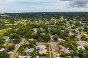 325 Orangeview Ave, Clearwater, FL 33755 - Photo 41